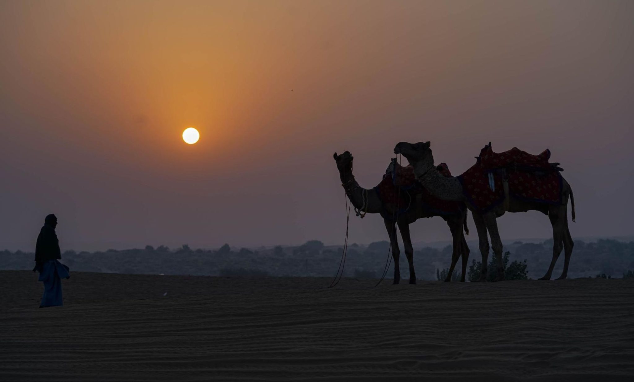 Desert Safari