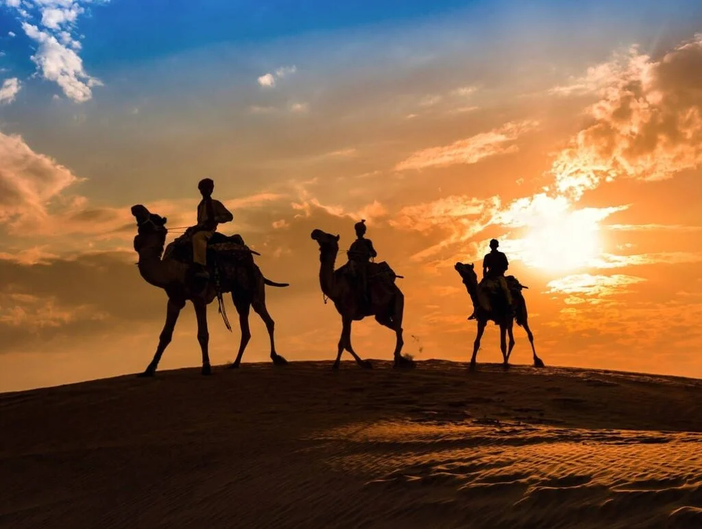 Sunset Camel Safari